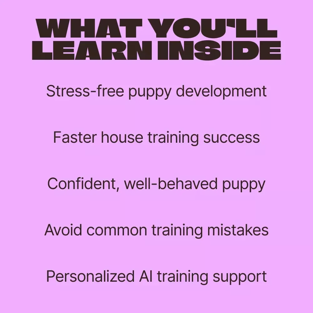 Puppy Training by Age, Made Simple – Easy Step-by-Step Guide for a Puppy Training Schedule by Age | New Puppy Basics, Obedience & Routines