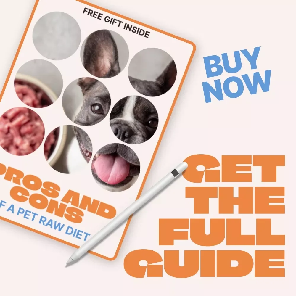 Pros and Cons of a Pet Raw Diet – Practical eBook Guide to raw diet pros and cons pets, Feeding Decisions, Safety & Nutrition