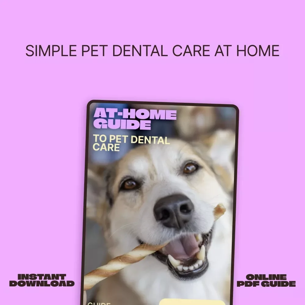 At-Home Guide to Pet Dental Care | Simple Pet Dental Care at Home Routine for Healthier Teeth & Happier Pets