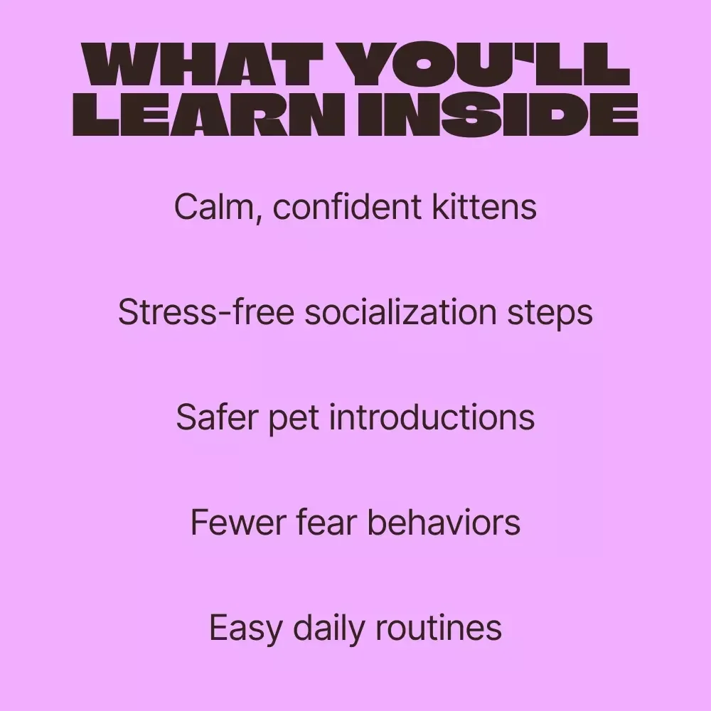 Tiny Paws, Big Confidence – A Practical Guide to Kitten Socialization Tips for Calm, Confident Cats | Digital Download