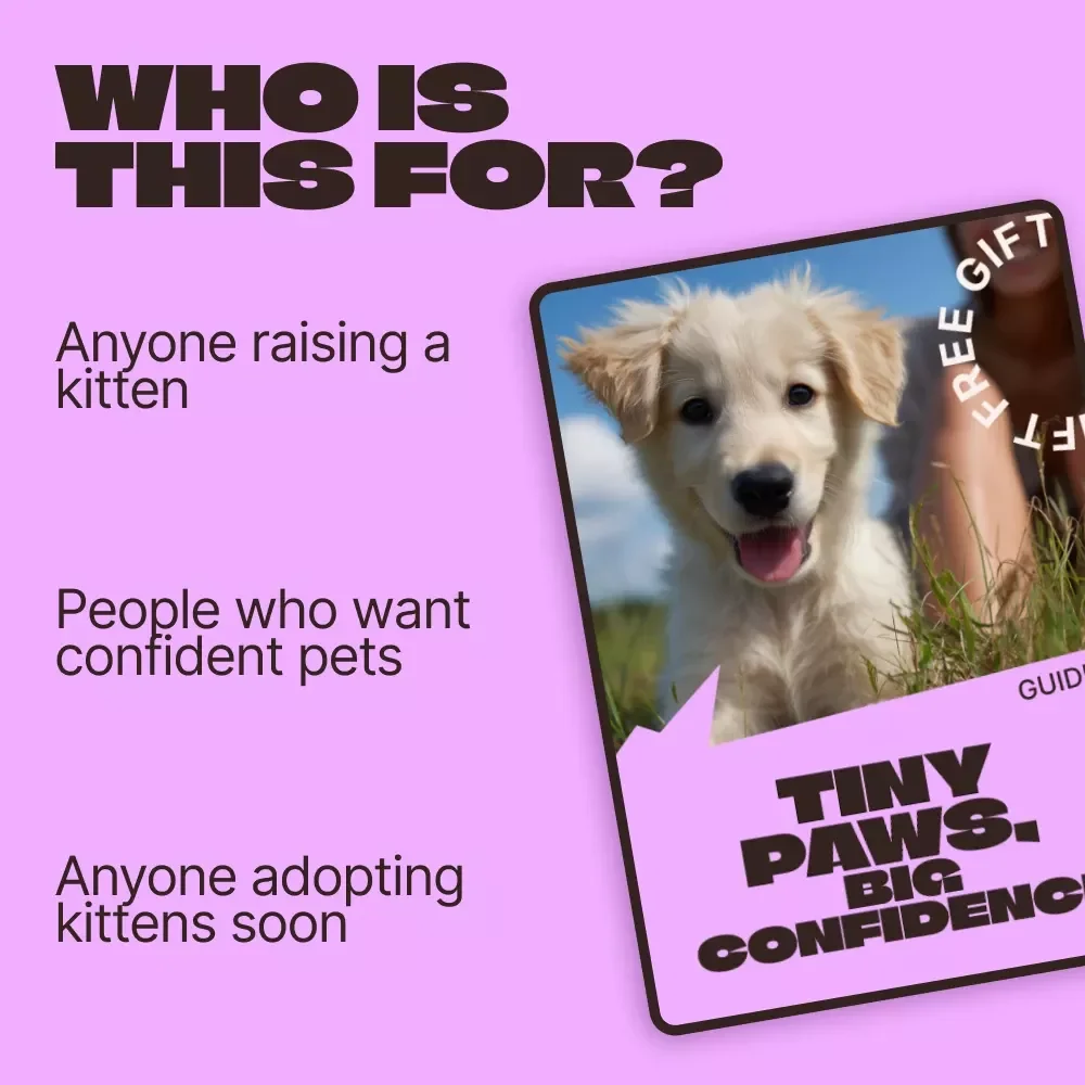 Tiny Paws, Big Confidence – A Practical Guide to Kitten Socialization Tips for Calm, Confident Cats | Digital Download
