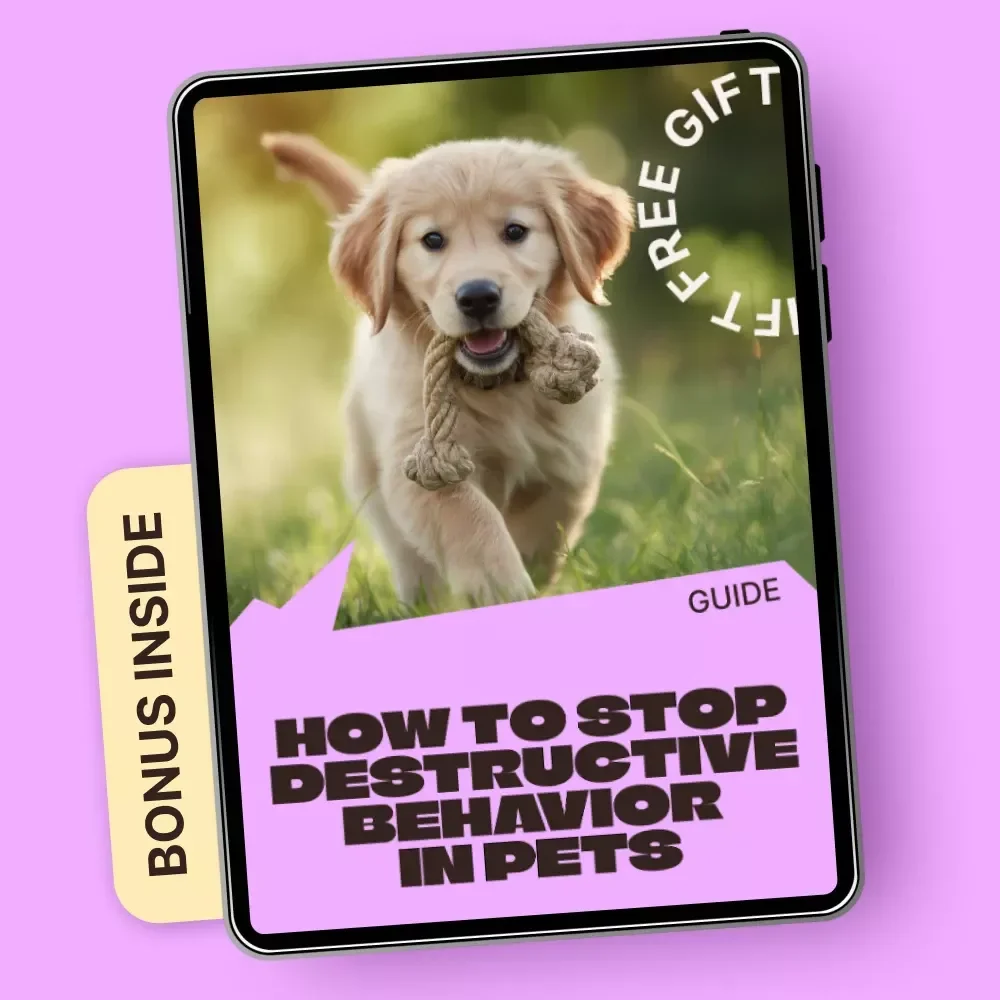 How to Stop Destructive Behavior in Pets | Practical Ebook Guide for Pet Owners | Training, Anxiety Relief & Daily Routines