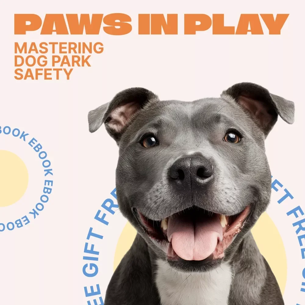 Paws in Play: Mastering Dog Park Safety | Practical Dog Park Safety Tips eBook for Confident, Stress-Free Park Visits
