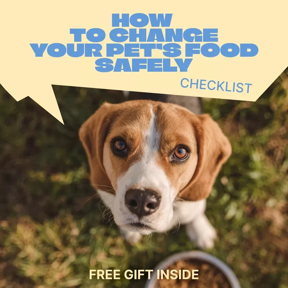 How to Change Your Pet’s Food Safely – Easy Checklist for Switching Pet Food Safely, Stress-Free Feeding Transition Guide