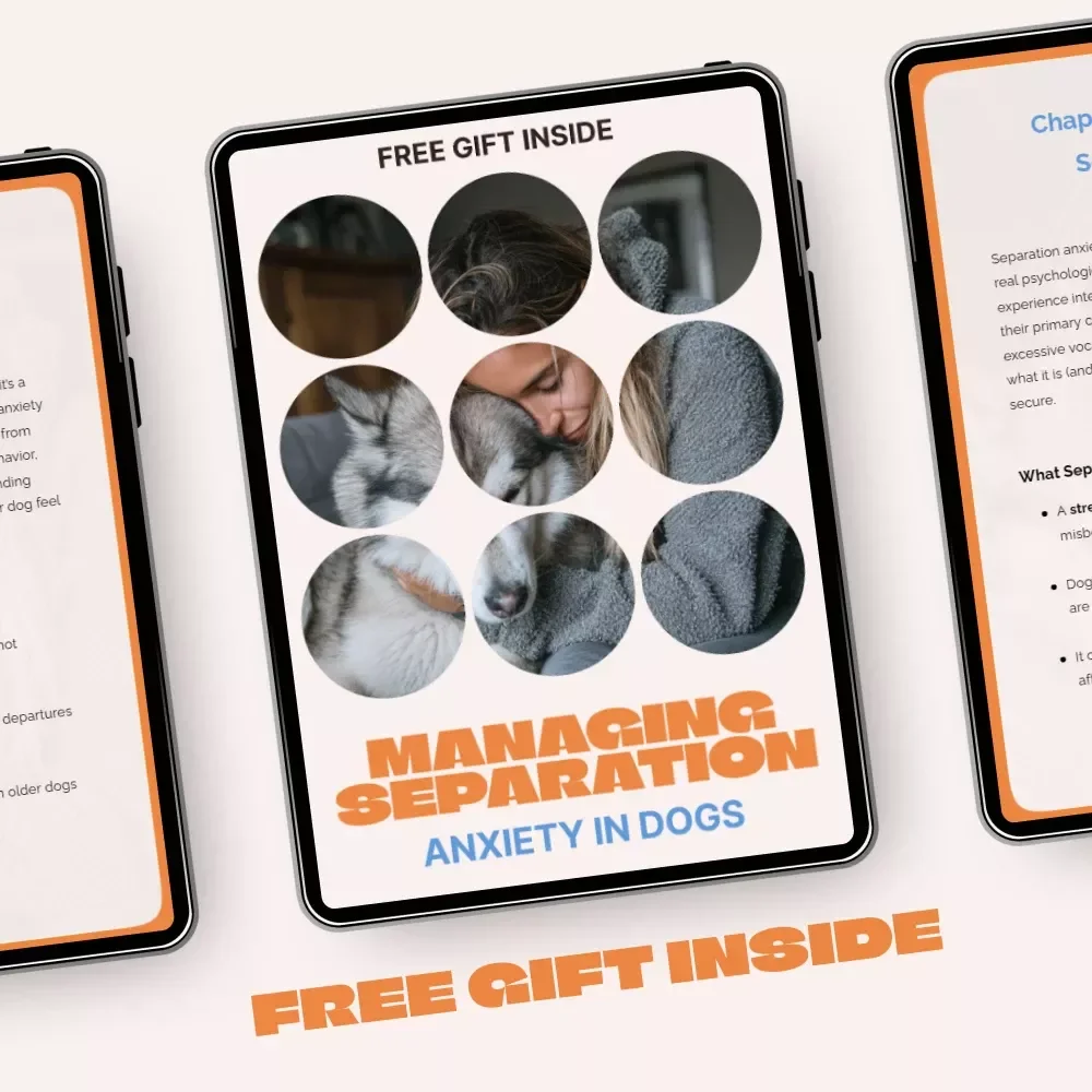 Managing Separation Anxiety in Dogs | Practical Training eBook for Calmer, Confident Dogs | Separation Anxiety in Dogs Guide