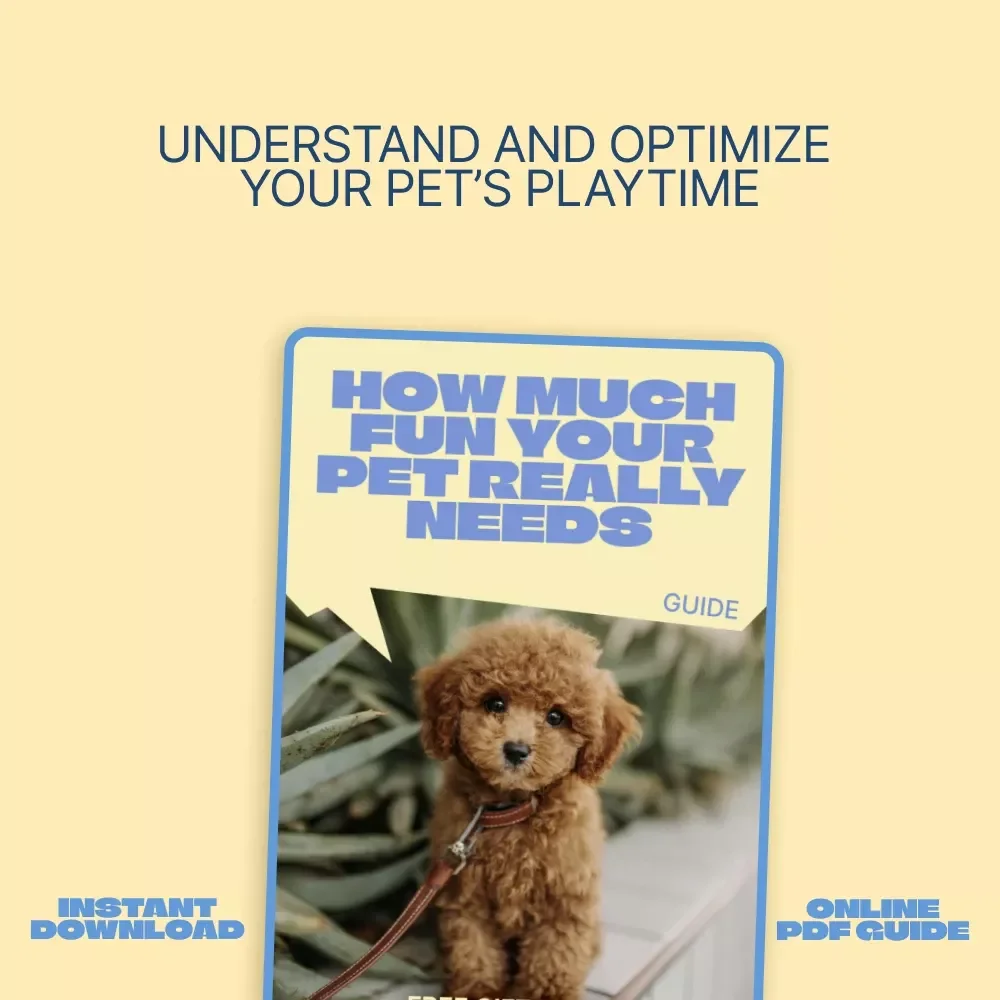 How Much Fun Your Pet Really Needs – Practical Guide to how much playtime pets need, Daily Play Balance, Interactive Ideas & Smarter Pet Enrichment