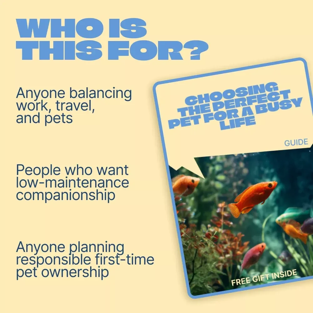 Choosing the Perfect Pet for a Busy Life – Smart Guide to Finding the best pet for busy people | Low-Maintenance Pets, Tools & Real-Life Tips