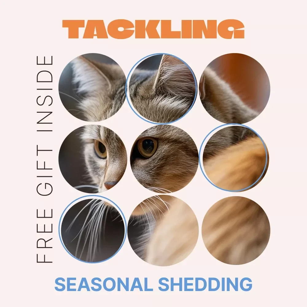 Tackling Seasonal Shedding | Easy Pet Care Checklist with Seasonal Shedding Tips | Printable & Digital Download