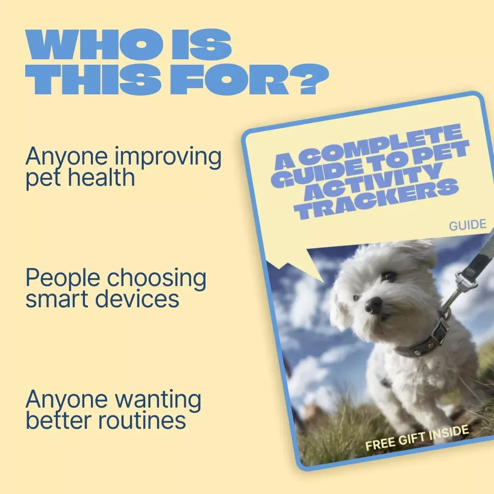 A Complete Guide to Pet Activity Trackers | Digital Guide for Choosing & Using a Pet Activity Tracker