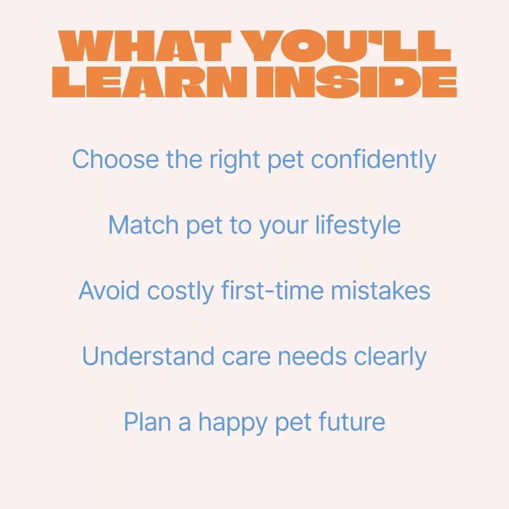 Dogs vs Cats: Choosing Your Perfect First Pet – Beginner-Friendly Guide for Dog vs Cat for Beginners, First-Time Pet Owners Digital Download