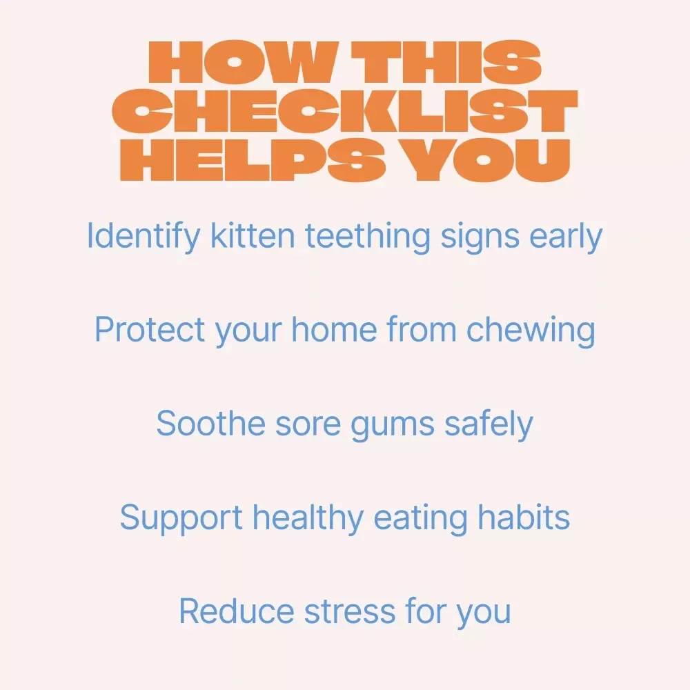 Kitten Teething SOS | Easy Checklist for New Cat Owners | Spot Kitten Teething Signs & Calm Chewing Chaos