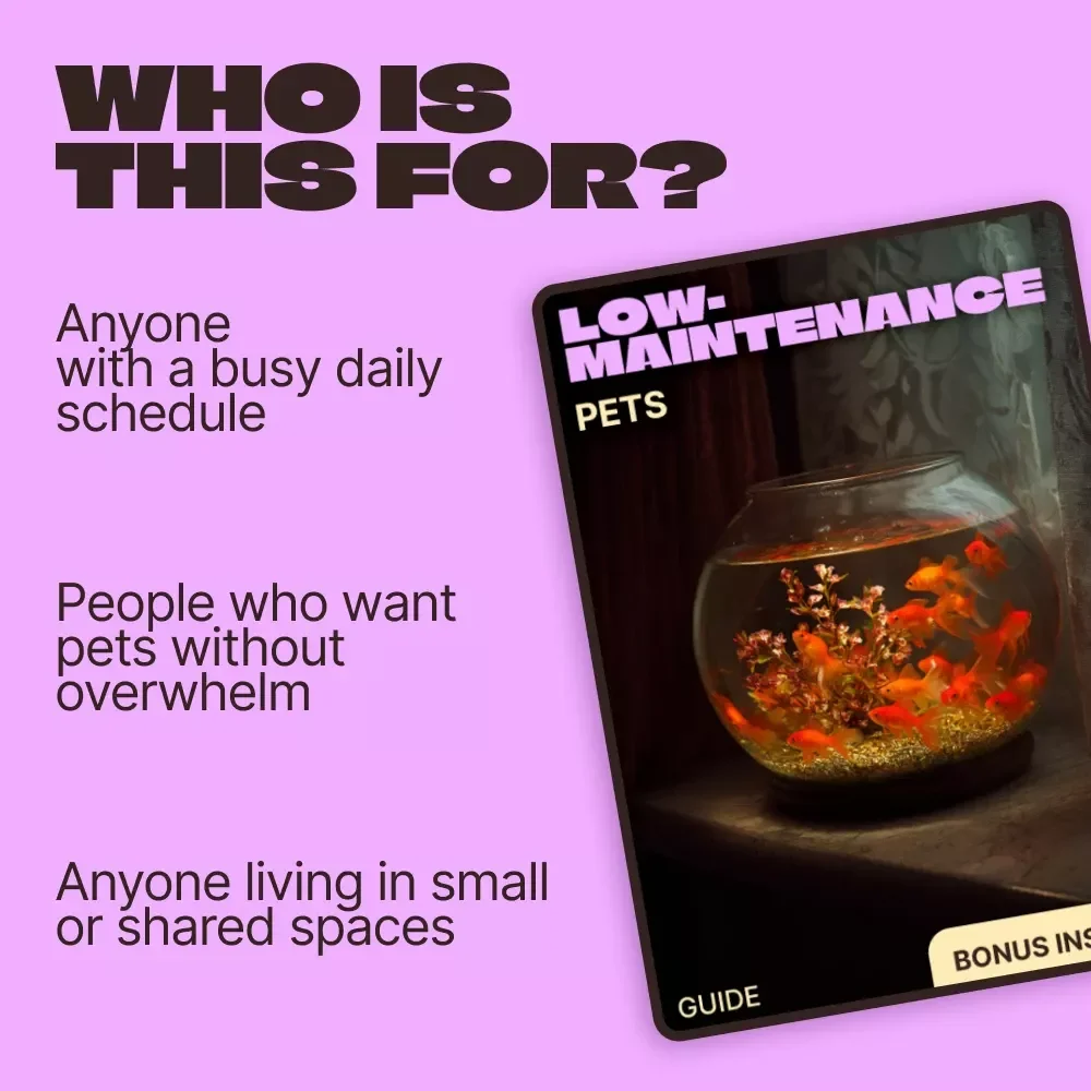 Low-Maintenance Pets | A Practical Guide to the Best Low Maintenance Pets for Busy Lives & Small Spaces