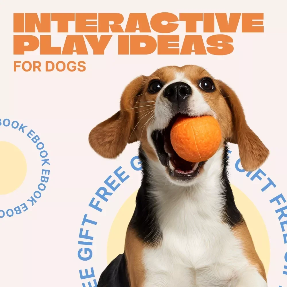Creative Interactive Play Ideas for Dogs – Digital eBook Guide | interactive play ideas for dogs, Fun Training Games, Mental Stimulation Activities, Enrichment Play for Happy Dogs