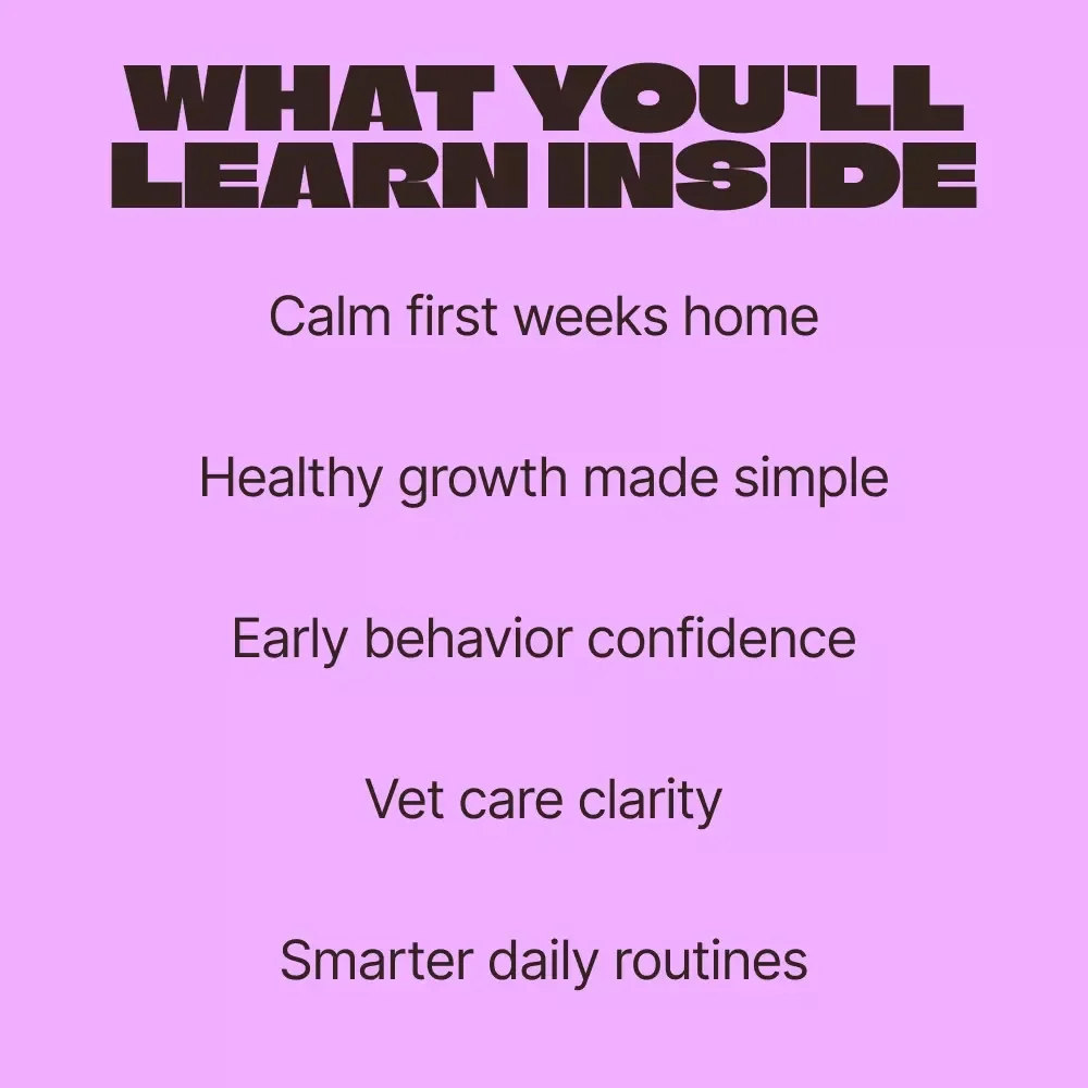 Small Paws, Strong Foundations – Puppy Care First 8 Weeks eBook for New Dog Owners | Essential Early Puppy Guide & Checklist