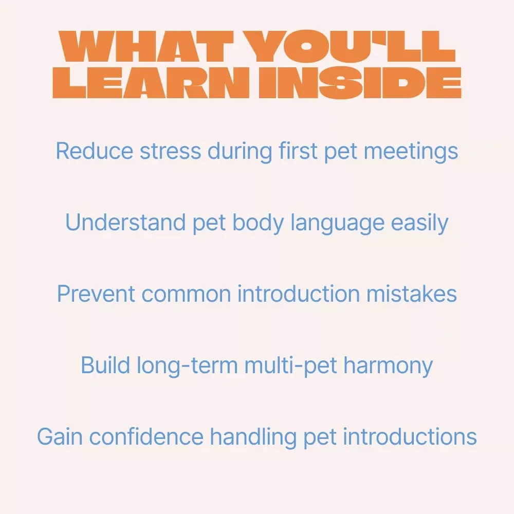 Pet Introductions Made Simple – Practical eBook Guide for Introducing Pets to Other Pets, Stress-Free Multi-Pet Home