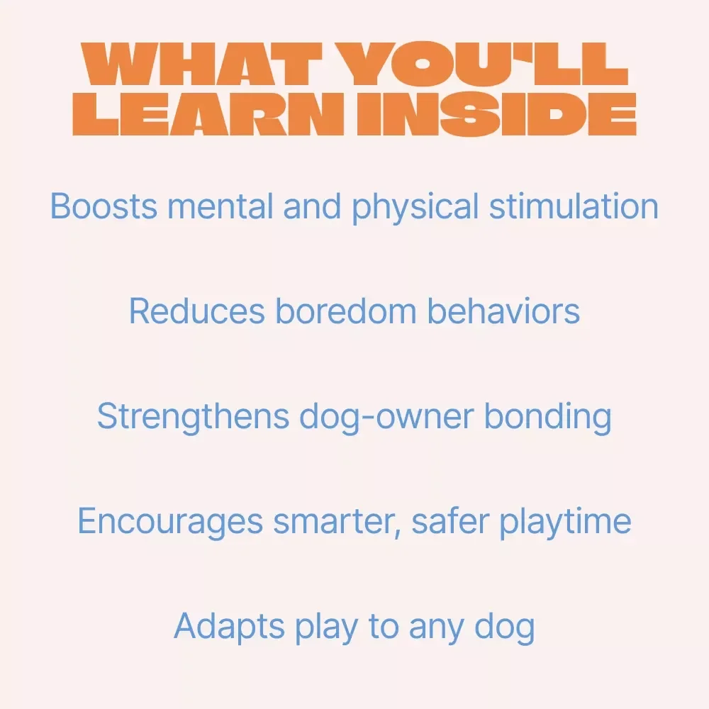 Creative Interactive Play Ideas for Dogs – Digital eBook Guide | interactive play ideas for dogs, Fun Training Games, Mental Stimulation Activities, Enrichment Play for Happy Dogs