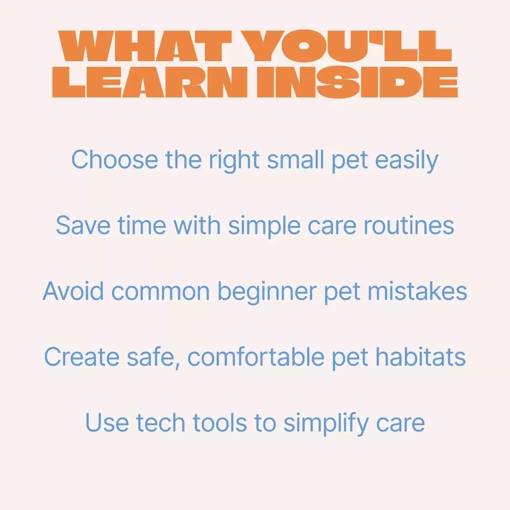 Easy-to-Care-For Small Pets – Beginner-Friendly Guide to Small Pets That Are Easy to Care For, Smart Pet Choices for Busy Lifestyles