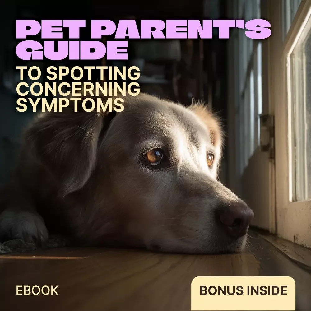 A Pet Parent’s Guide to Spotting Concerning Symptoms – Practical eBook for Pet Owners on when to worry about pet symptoms, Early Warning Signs, Emergency Care & Everyday Health Monitoring
