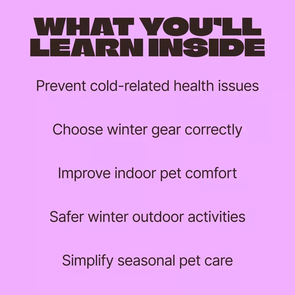 Keep Your Furry Friends Warm – Winter Pet Care eBook | Smart Pet Gear for Cold Climates Guide