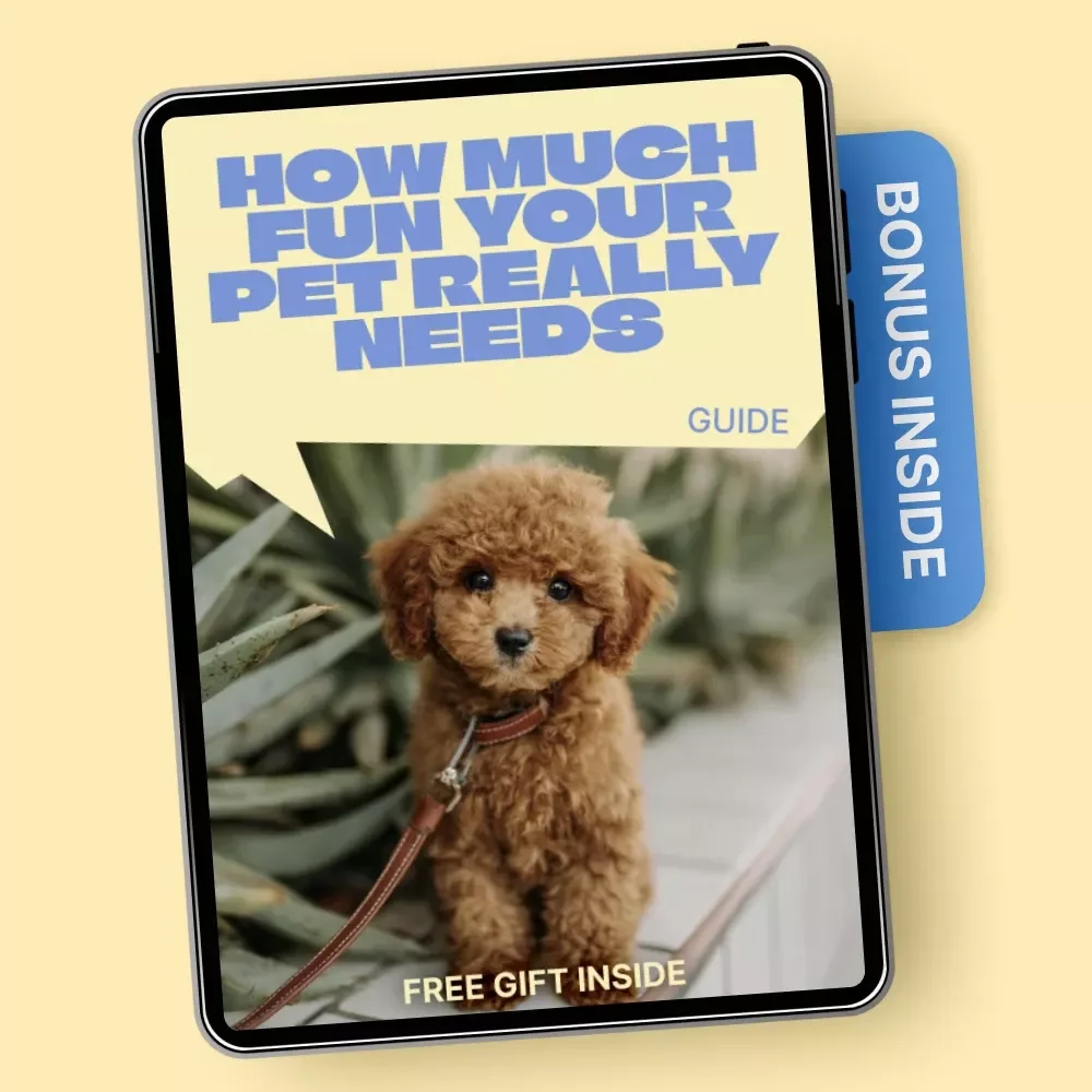 How Much Fun Your Pet Really Needs – Practical Guide to how much playtime pets need, Daily Play Balance, Interactive Ideas & Smarter Pet Enrichment