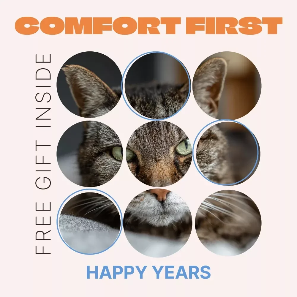 Comfort First, Happy Years – A Practical eBook Guide with Comfort Tips for Senior Pets, Creating Cozy Homes, Gentle Routines, and Happier Golden Years