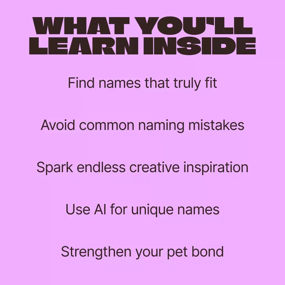 Paws & Personality: Unique Pet Names | Ebook of Unique Pet Name Ideas for Dogs, Cats & More
