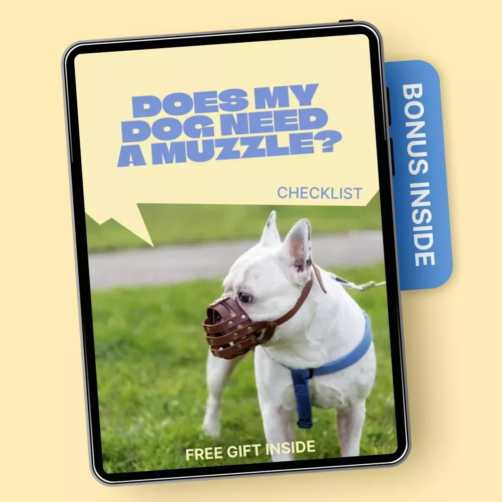 Does My Dog Need a Muzzle – Practical Safety Checklist for Responsible Dog Owners | Stress-Free Decisions & Peace of Mind