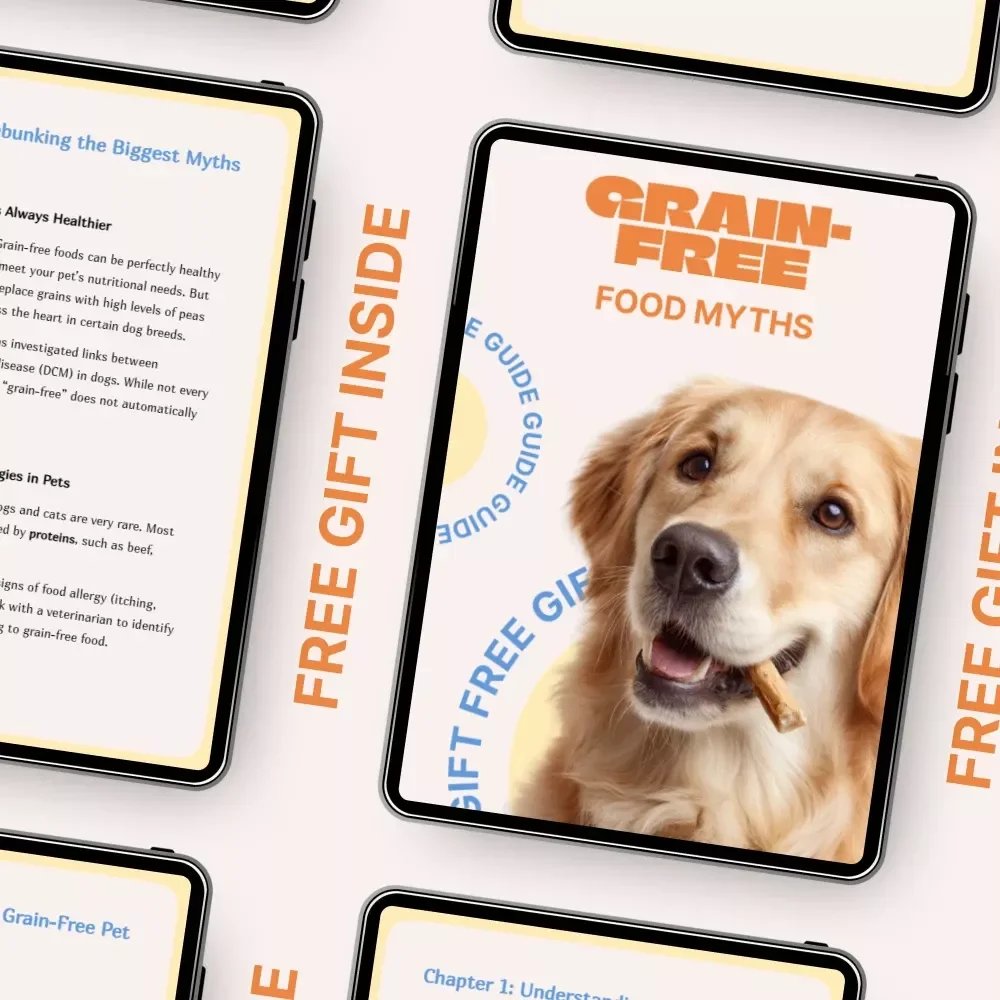 Grain-Free Pet Food Myths | A Practical Guide to Understanding Grain Free Pet Food Myths for Smarter Pet Nutrition Choices