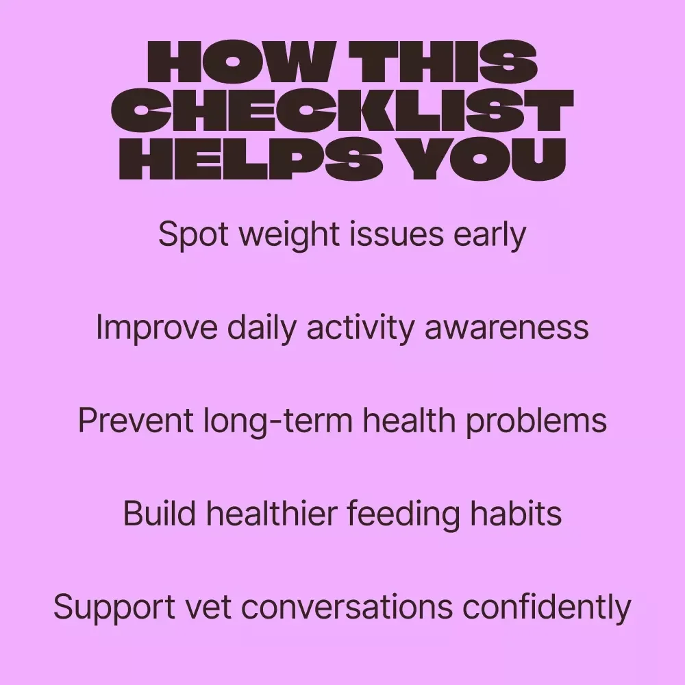 Practical Checklist to Spot Obesity Signs Early – Easy Pet Weight Health Guide | Obesity Signs in Pets