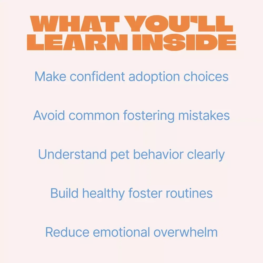Fostering First, Adopting With Confidence | Practical Guide to Fostering Pets Before Adoption, Real Foster Stories, AI Decision Tools