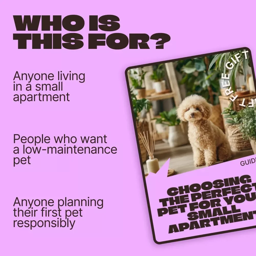 Choosing the Perfect Pet for Your Small Apartment – Practical Digital Guide to Finding the Best Pet for Small Apartment Living