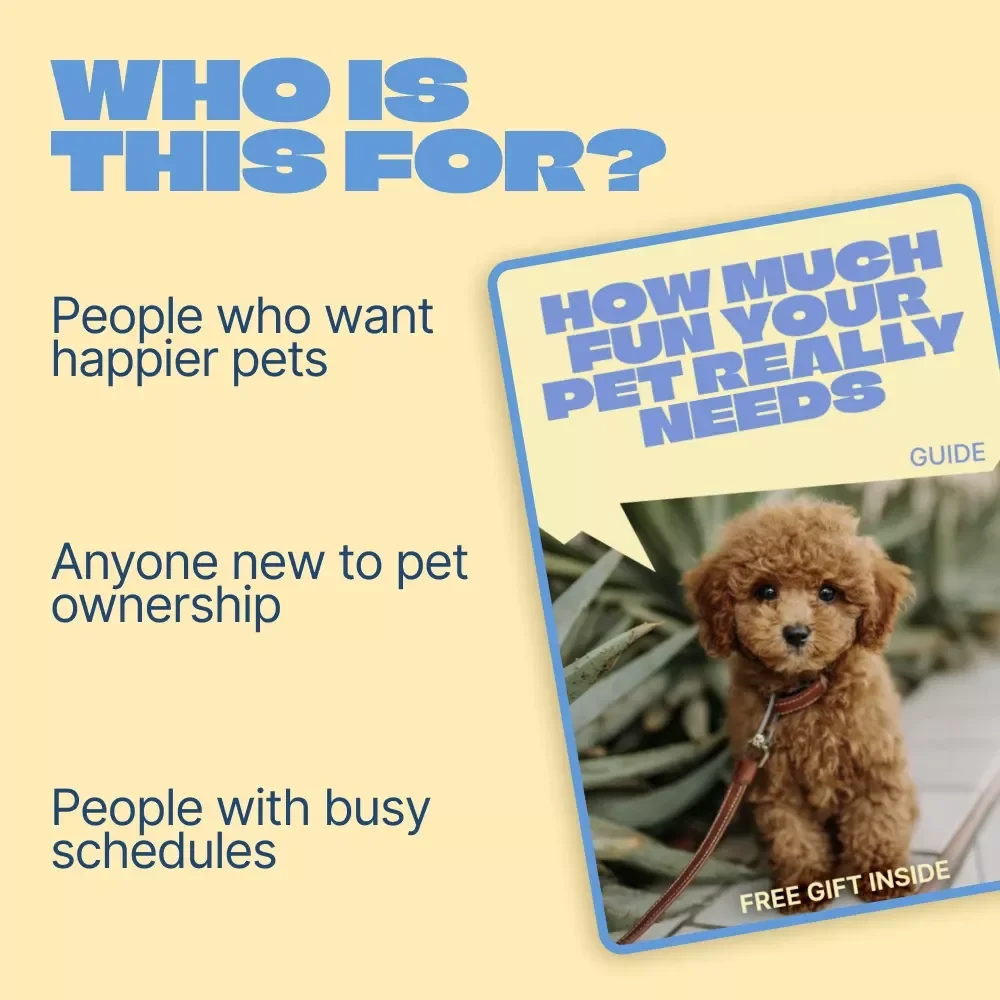 How Much Fun Your Pet Really Needs – Practical Guide to how much playtime pets need, Daily Play Balance, Interactive Ideas & Smarter Pet Enrichment