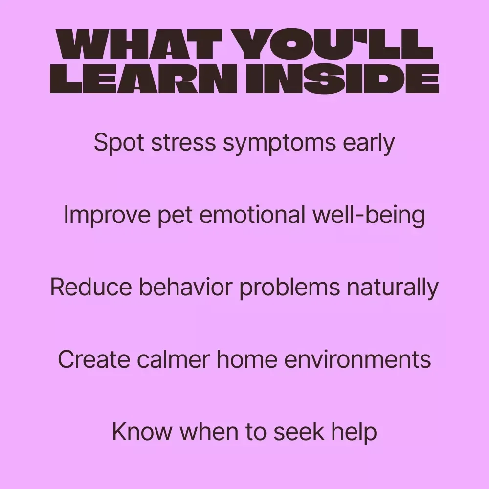 Understanding Pet Stress Before It Escalates – A Practical Guide for Pet Owners | pet stress symptoms explained | Digital Download