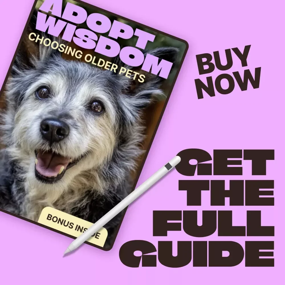Adopt Wisdom: Choosing Older Pets | Heartfelt Guide to adopting older pet pros cons & Confident Senior Pet Adoption