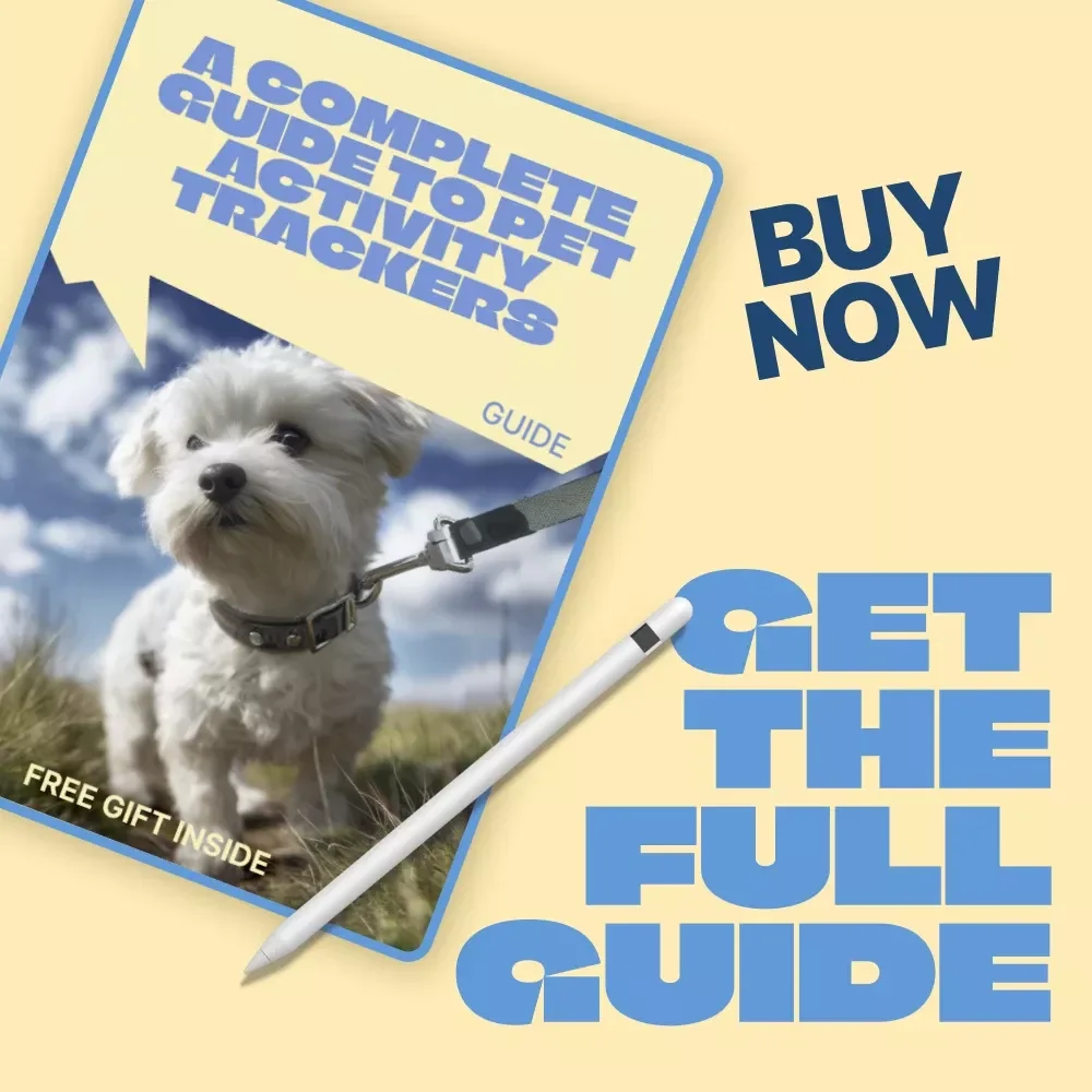 A Complete Guide to Pet Activity Trackers | Digital Guide for Choosing & Using a Pet Activity Tracker