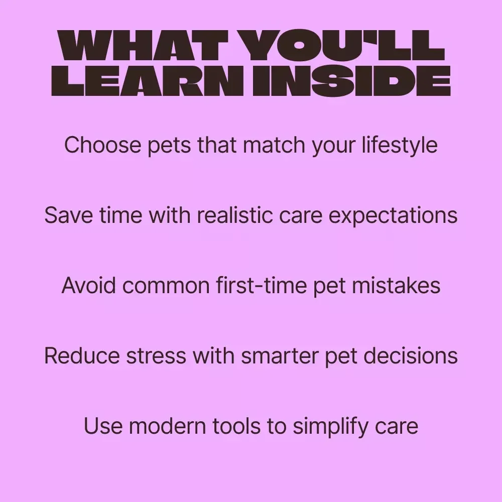 Low-Maintenance Pets | A Practical Guide to the Best Low Maintenance Pets for Busy Lives & Small Spaces