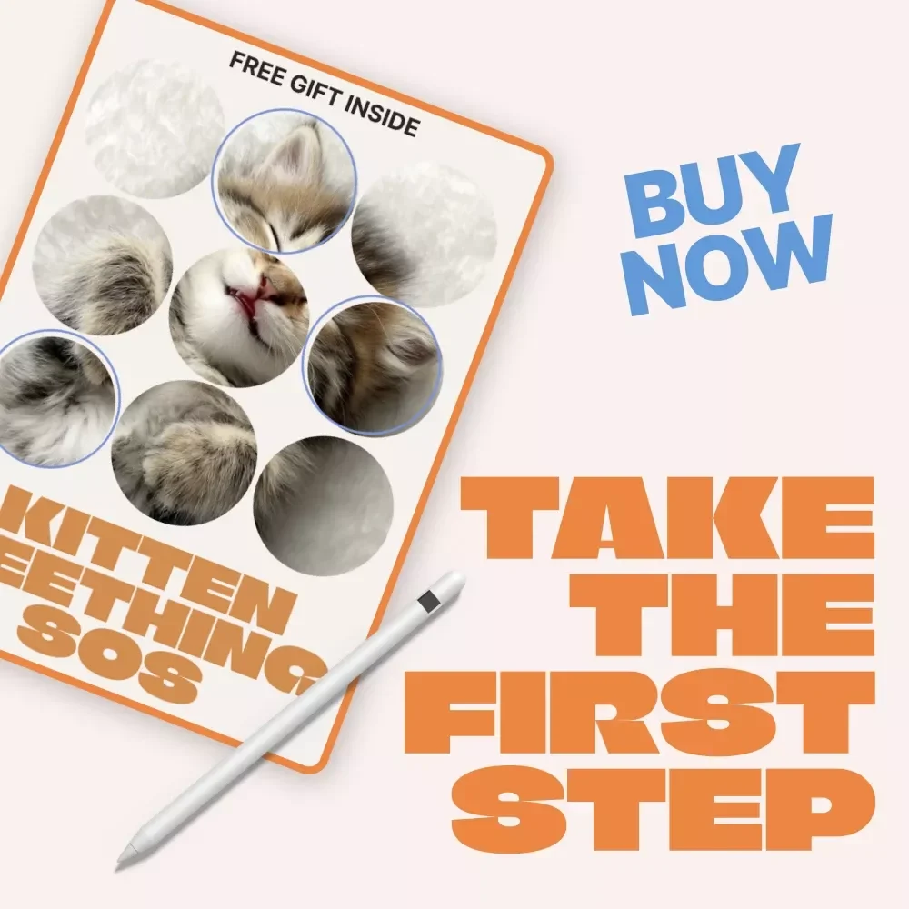 Kitten Teething SOS | Easy Checklist for New Cat Owners | Spot Kitten Teething Signs & Calm Chewing Chaos