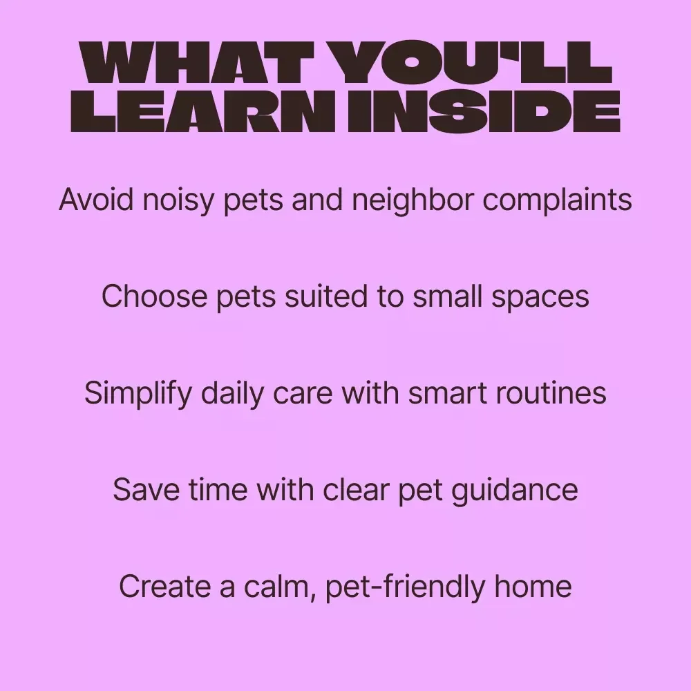 Quiet Pets for Apartment Living | Easy Guide to Quiet Pets for Apartments, Low-Noise Pet Choices, Apartment-Friendly Animals