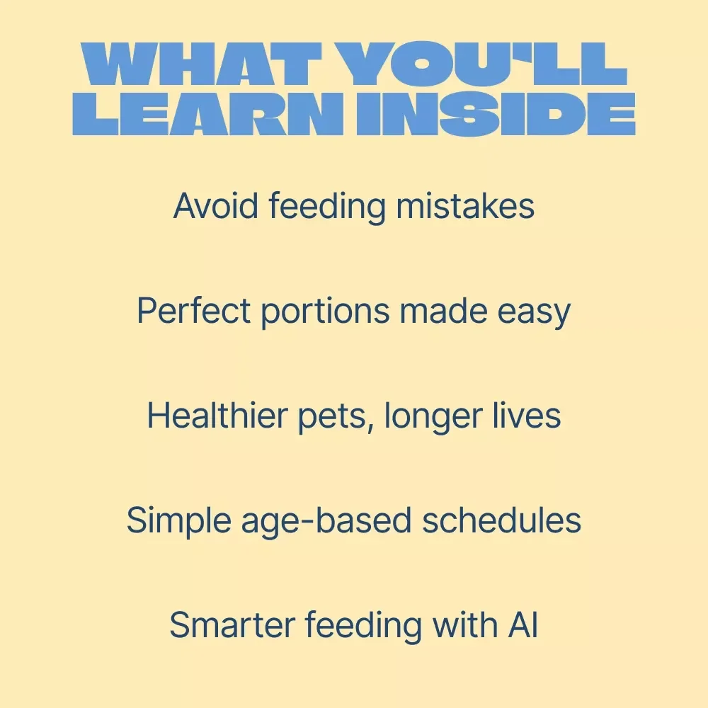 Feeding Your Pet at Every Age – Complete Ebook Guide to a Feeding Schedule by Pet Age for Puppies, Adults, and Senior Pets