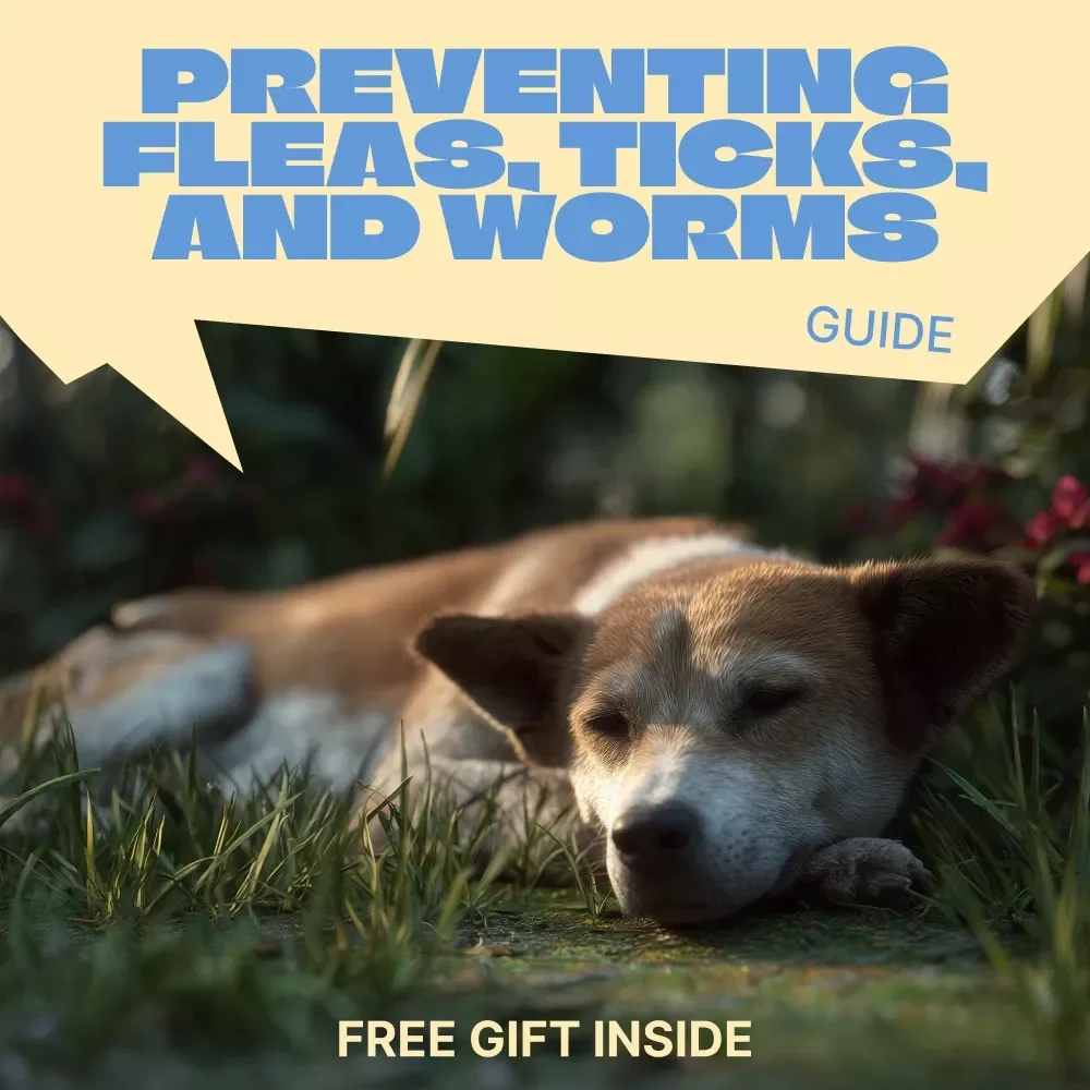 Preventing Fleas, Ticks, and Worms | Essential Pet Health Guide for fleas ticks worms prevention | Easy Digital Download