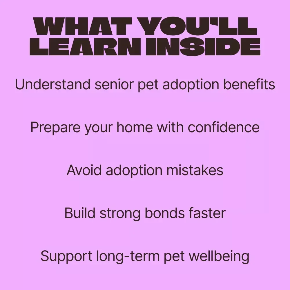 Adopt Wisdom: Choosing Older Pets | Heartfelt Guide to adopting older pet pros cons & Confident Senior Pet Adoption