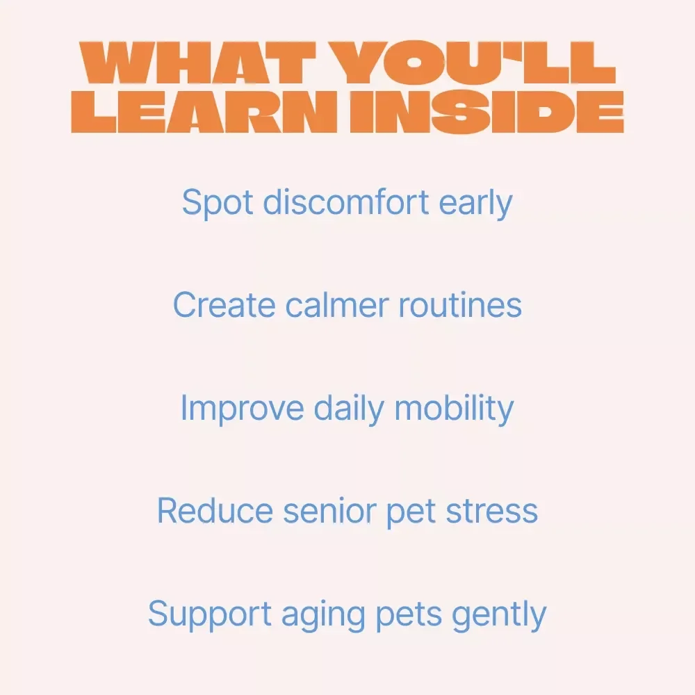 Comfort First, Happy Years – A Practical eBook Guide with Comfort Tips for Senior Pets, Creating Cozy Homes, Gentle Routines, and Happier Golden Years