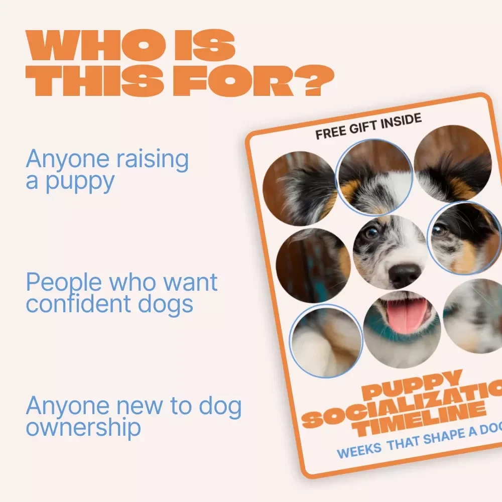 Puppy Socialization Timeline, Weeks That Shape a Dog | Essential Puppy Training Guide for New Dog Owners | Printable & Digital Puppy Socialization Timeline