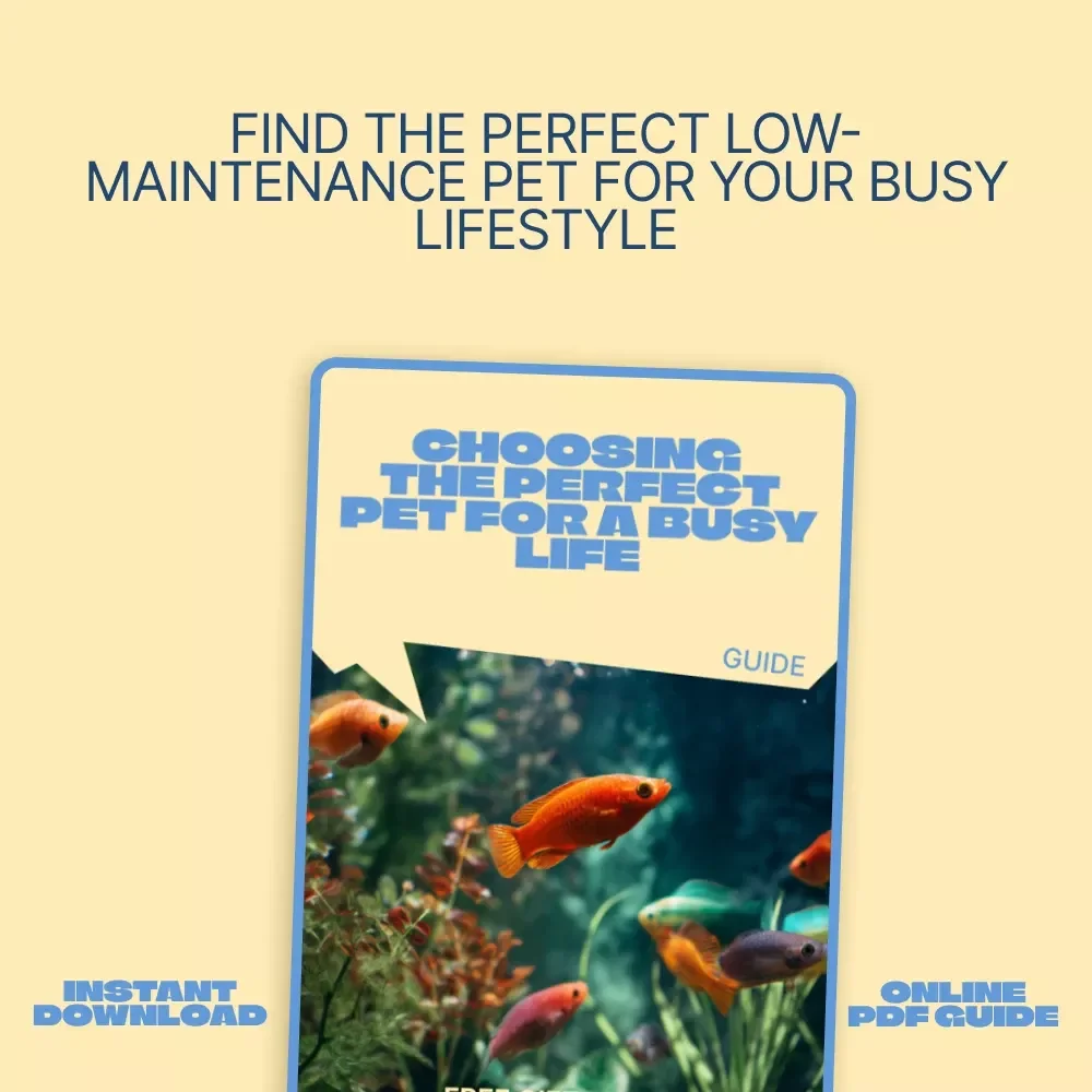 Choosing the Perfect Pet for a Busy Life – Smart Guide to Finding the best pet for busy people | Low-Maintenance Pets, Tools & Real-Life Tips