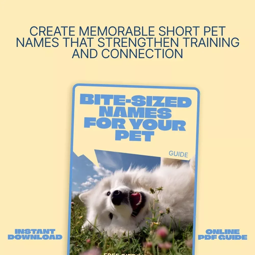 Bite-Sized Names for Your Pet – A Smart Guide to Short Pet Names That Work | Easy, Memorable & Train-Friendly Naming Guide