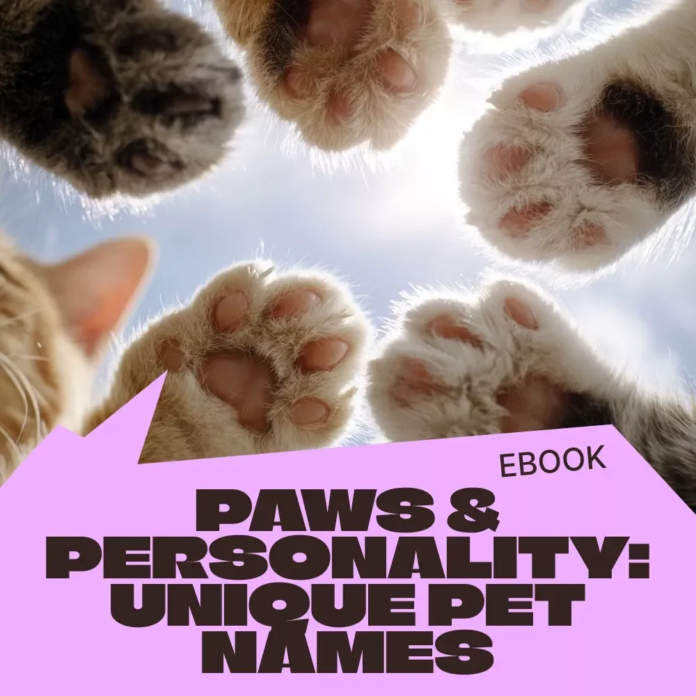 Paws & Personality: Unique Pet Names | Ebook of Unique Pet Name Ideas for Dogs, Cats & More