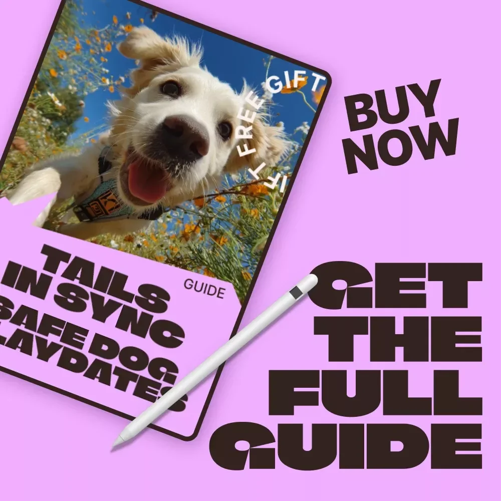 Tails in Sync: Safe Dog Playdates | Ultimate Guide to Playdates for Dogs Rules, Calm Introductions & Happy Social Time