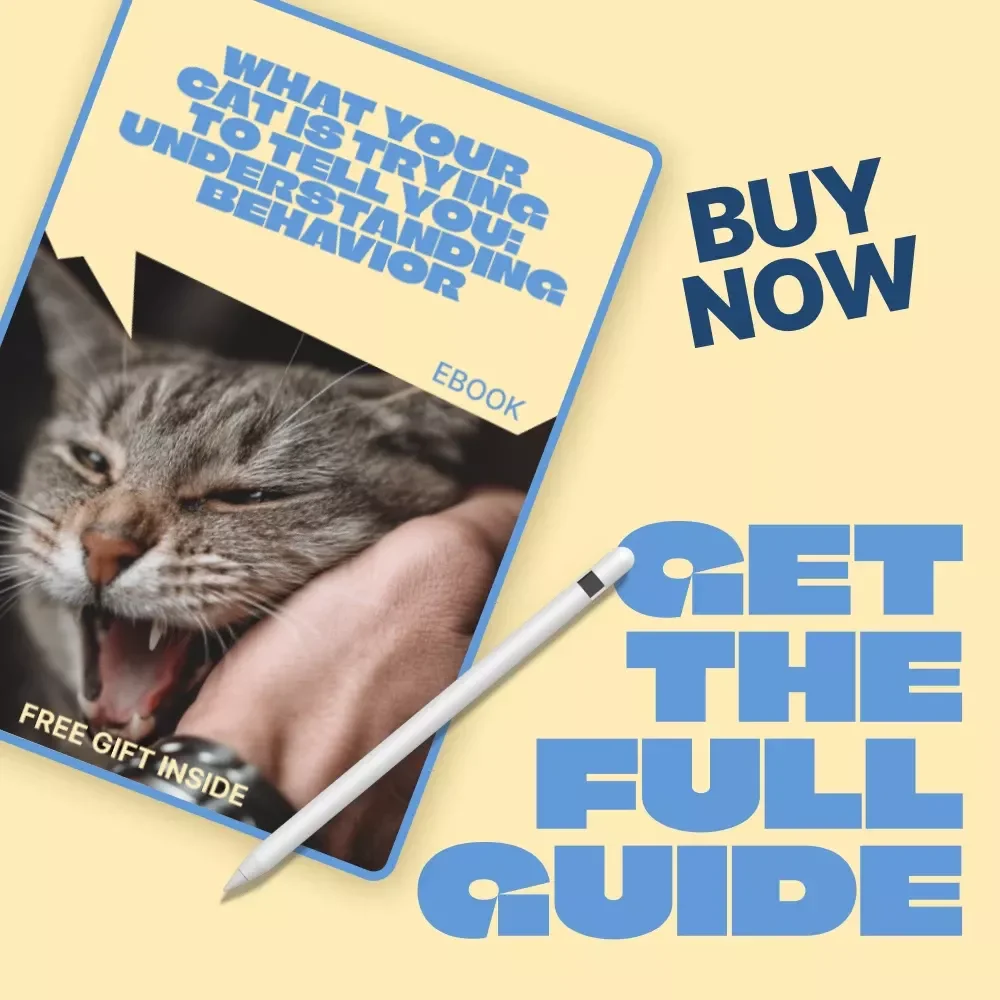 What Your Cat is Trying to Tell You: Understanding Behavior | Cat Behavior Meaning Guide | Digital eBook for Cat Owners