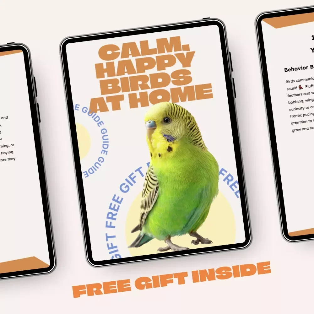 Calm, Happy Birds at Home – A Practical Guide to Bird Care at Home Basics, Behavior, Feeding & Stress-Free Living