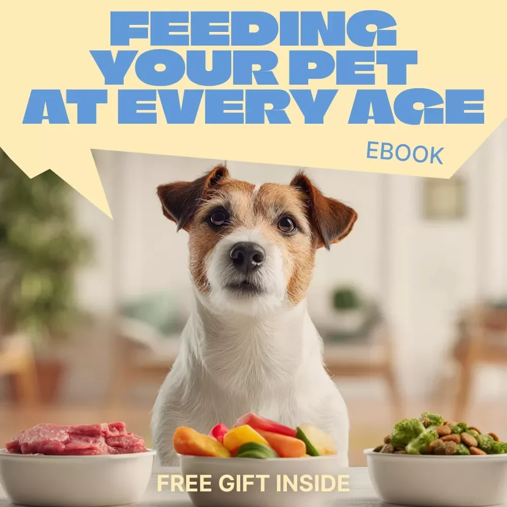 Feeding Your Pet at Every Age – Complete Ebook Guide to a Feeding Schedule by Pet Age for Puppies, Adults, and Senior Pets